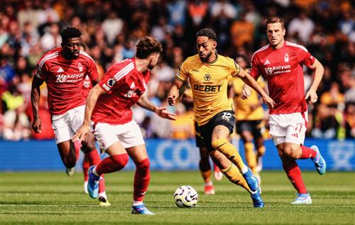 Explore Tenex Casino: Top Gaming Insights